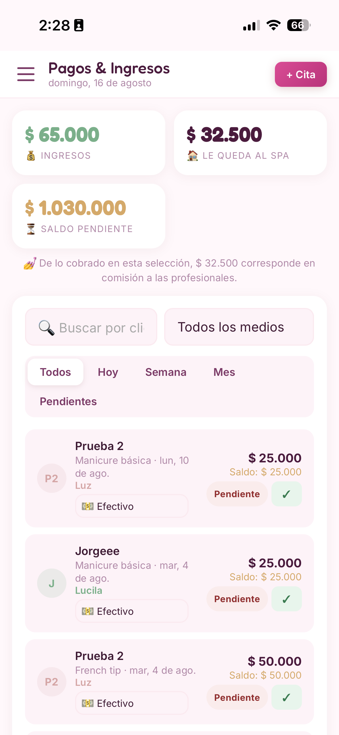 Sección de pagos de Agenda Mady en celular